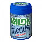 Valda-Friends-Menta-50G
