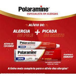 Polaramine Maleato de Dexclorfeniramina 10mg/g Creme Dermatológico 30g