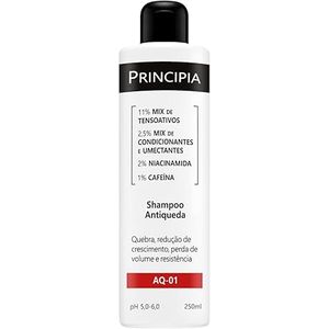 Shampoo Antiqueda 2% Niacinamida + 1% Cafeína Principia Skincare Aq - 01 Com 250ml